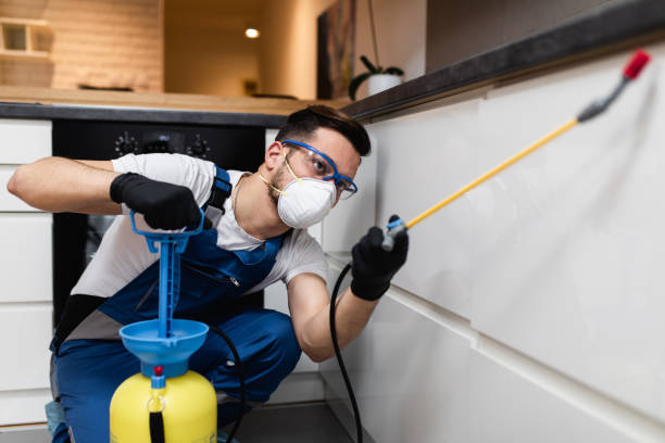 Pest Control Cost in Bithlo, FL