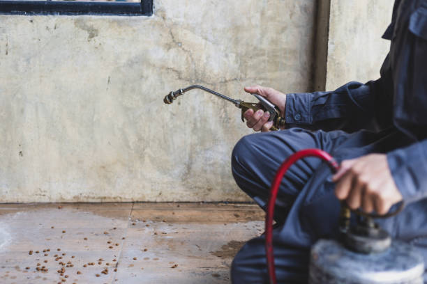 Best Pest Removal Services  in Bithlo, FL
